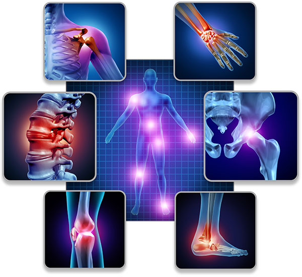 MobilityMD™ Advanced Joint, Muscle & Flexibility Support